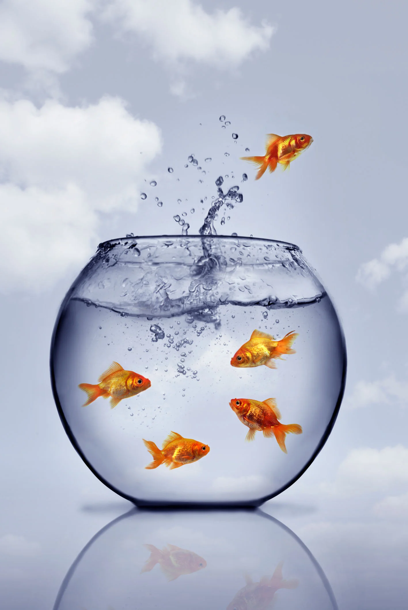 Contrarian Investing – Why Aren’t More People Turning to Gold Right Now?