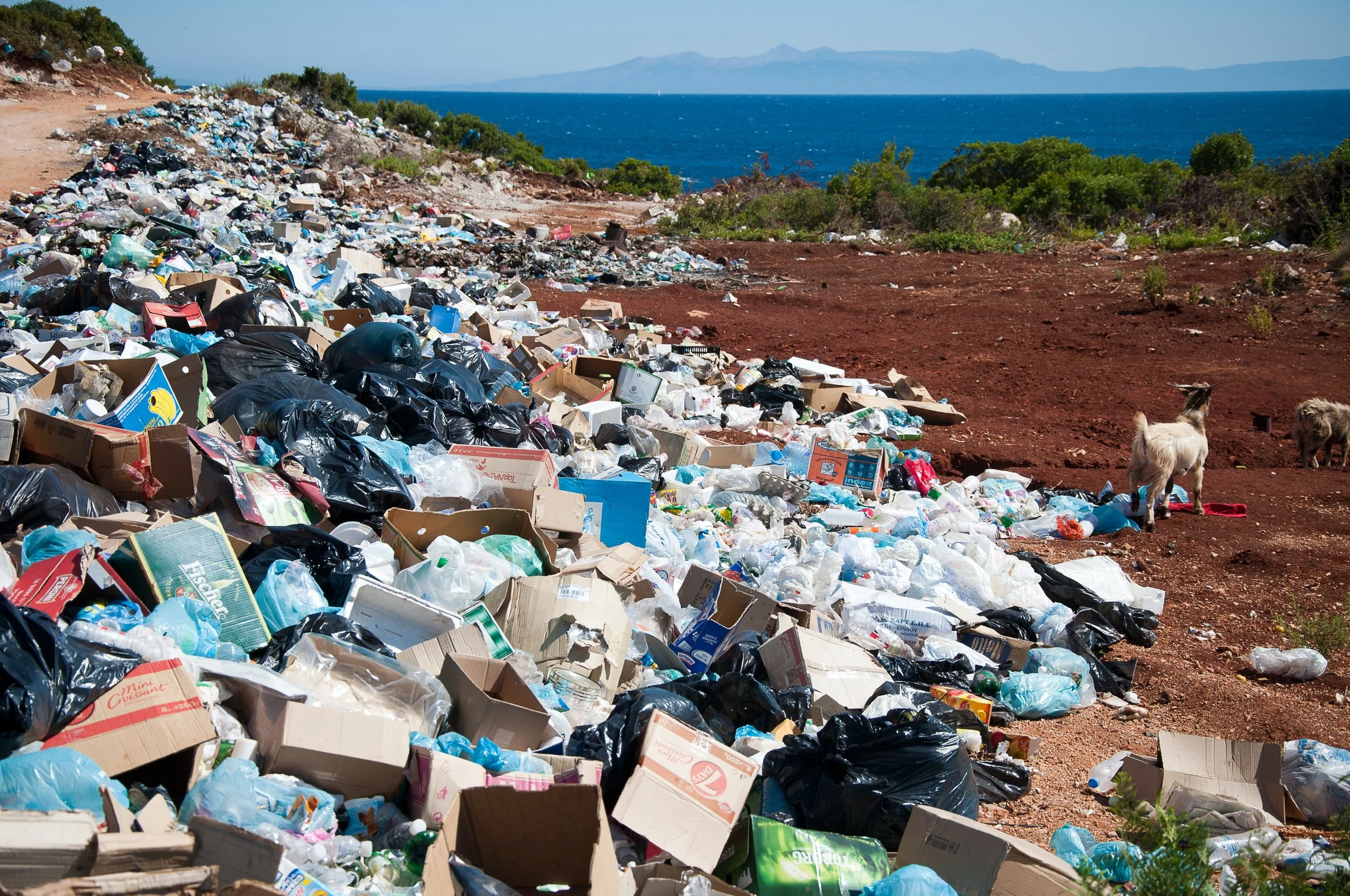 Don’t Let Platinum Scrap End Up in Landfills