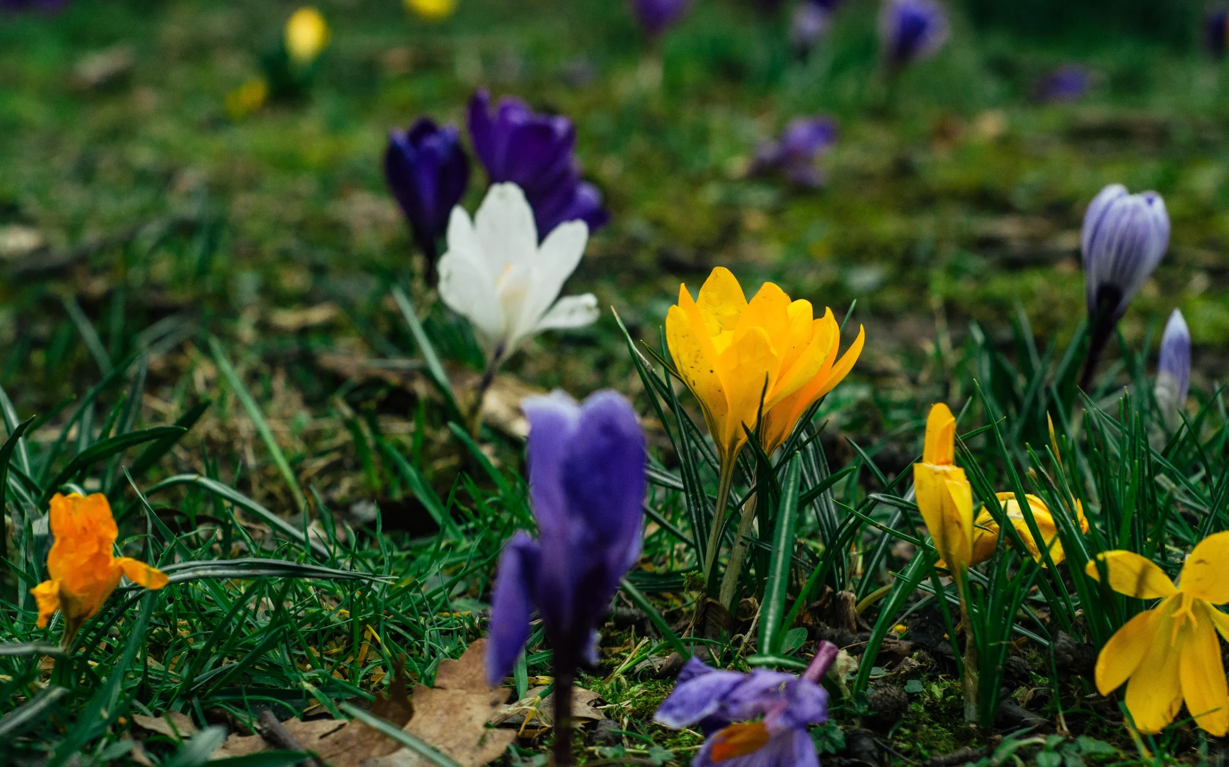 Spring Is Here . . . It’s Time to Review Your Precious Metal Prospecting Plans
